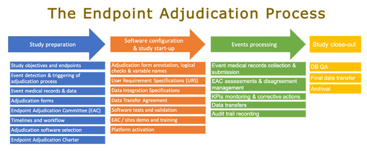 Endpoint Adjudication Process